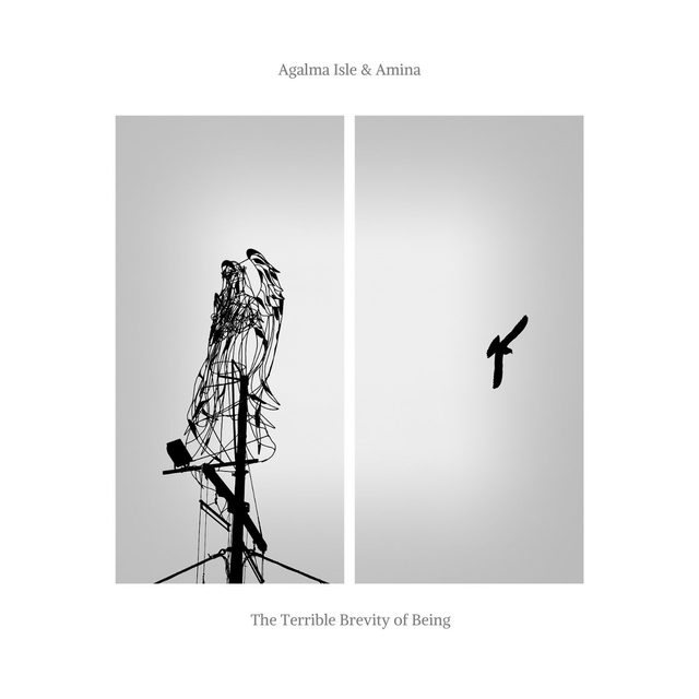 Album cover for The Terrible Brevity of Being by Agalma Isle & Amina, released on STNWLDR